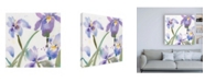 Trademark Global Sheila Golde Irises Violet Canvas Art - 15.5" x 21"